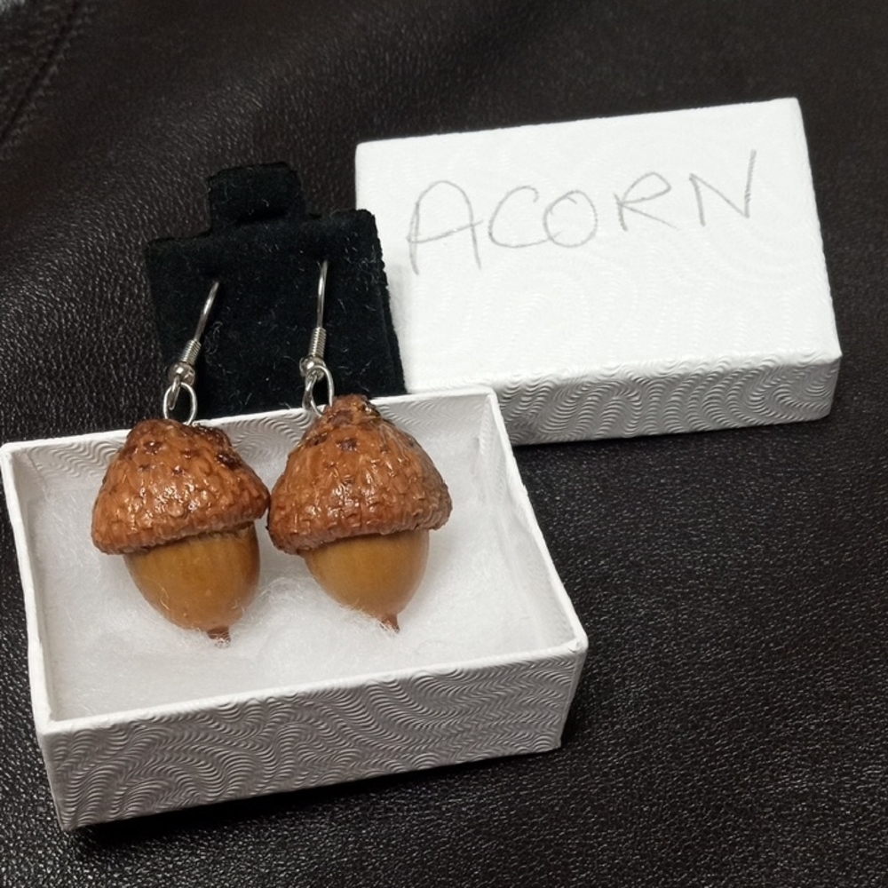 Real Acorns Earrings w/Gift Box. Unique Gift 🌰